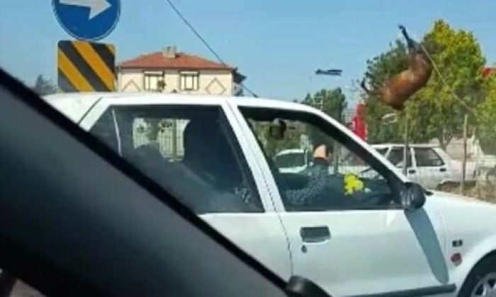 Yüzlerce Kiloluk Atlar Kazanın Etkisiyle Böyle Havaya Uçtu (Video)